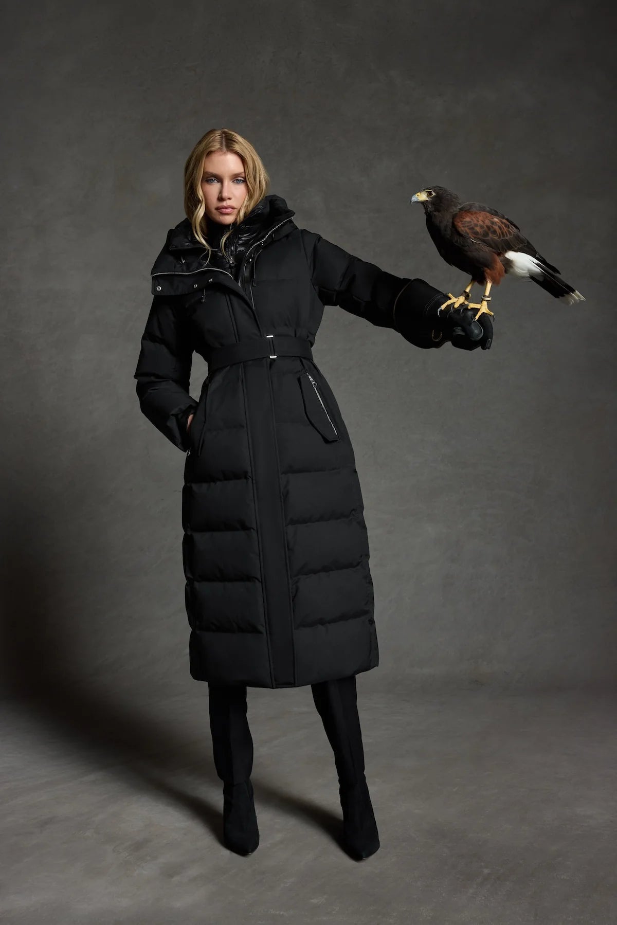 SHYLA-NFZ (샤일라-NFZ)